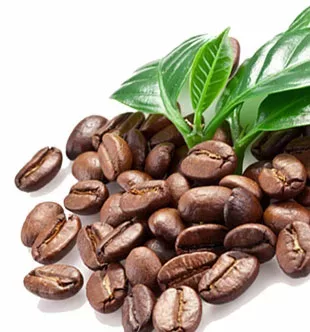 ungrilled-coffee-bean-1 ungrilled-coffee-bean-1
